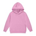 thumbnail image 5 of JAJAHO Girls Hoodie Sweatshirt And Sweatpants Set Long Sleeve Pullover Jogger 2 Piece Set Kids Tracksuit 2-13Y, 5 of 6