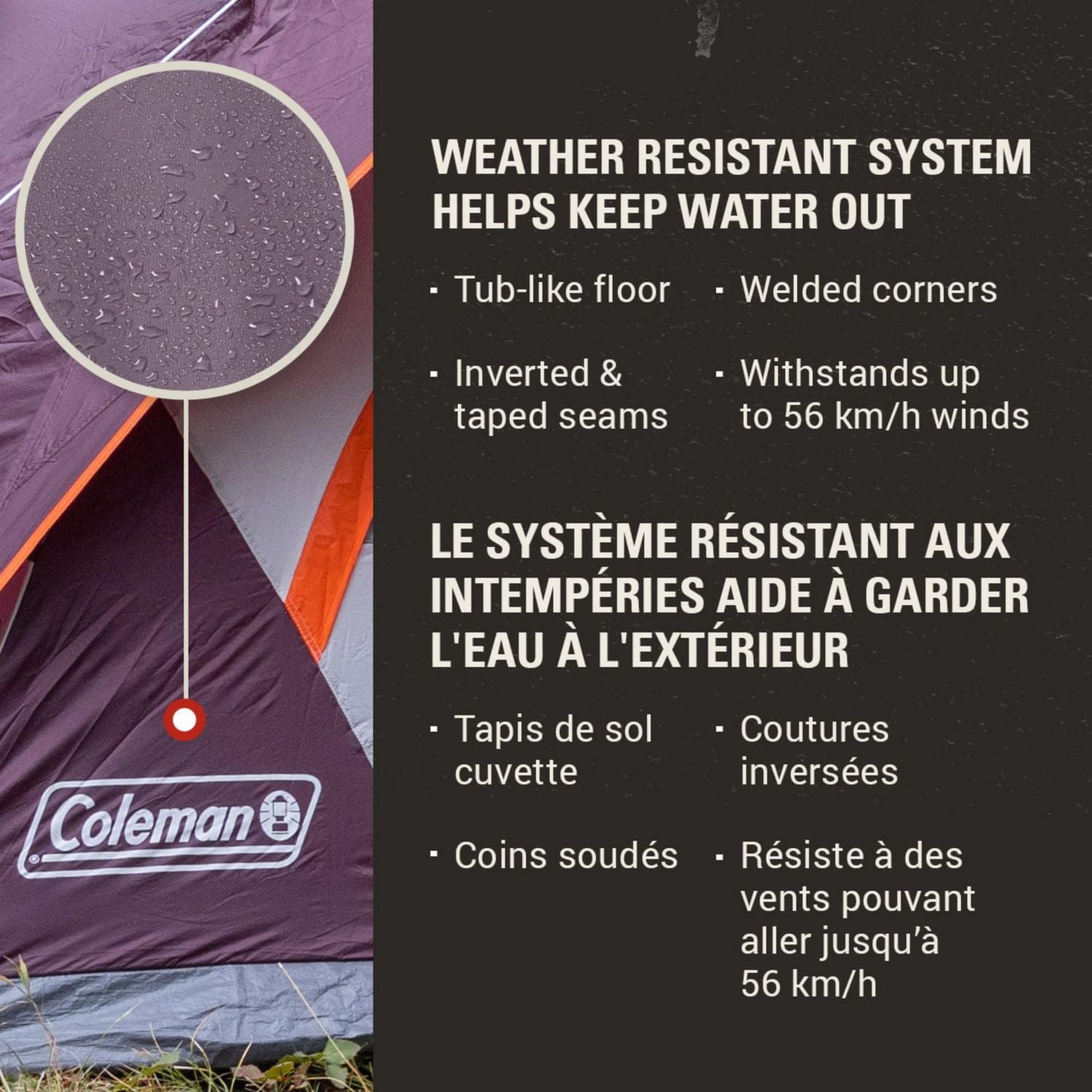 Coleman 6-Person Skydome Camping Tent, Blackberry