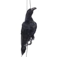 thumbnail image 2 of 17 inch Realistic Hanging Dead Crows Decoy Lifesize Extra Large Black Feathered Crow, 2 of 5