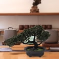 thumbnail image 4 of Raindrops  Tabletop Bonsai Tree Fake Ornaments Miniature Indoor Decor Office, 4 of 8