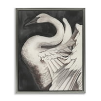 Stupell Industries Swan Spreading Wings Animals Painting Gray Floater Framed Canvas Art Print Wall Art, 17 x 21