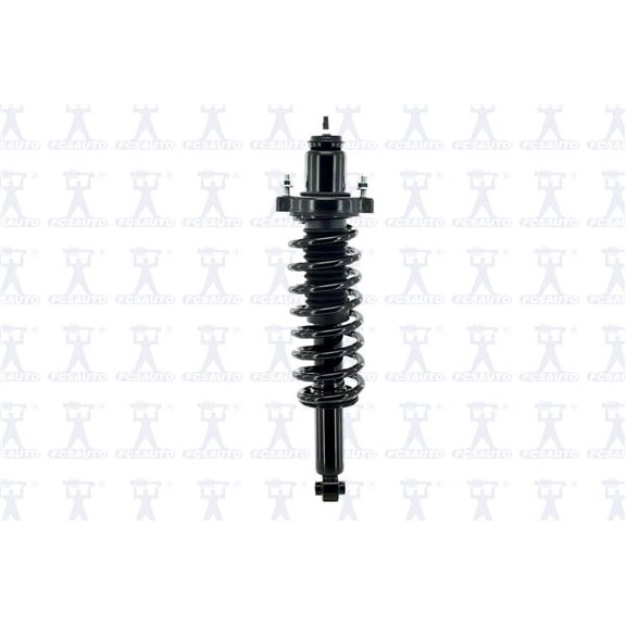 Suspension Strut and Coil Spring Assembly
