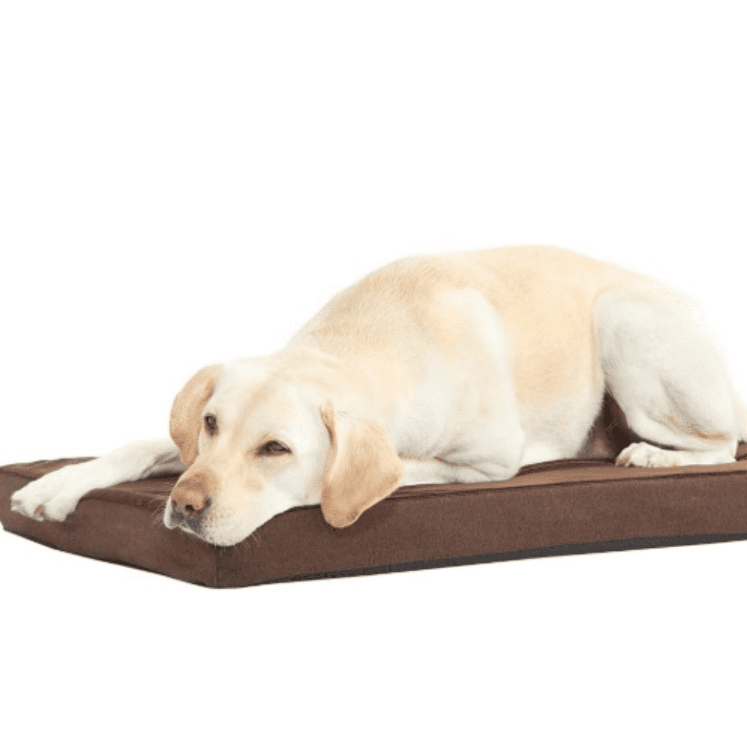 Orthopedic Dog Bed with Memory Foam, Premium Comfort for Dogs and Puppies, Dog Bed for Joint Relief and Restful Sleep, Durable and Easy to Clean - Espresso, Large