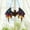 Size 6inch, variant on Gothic Bat Acrylic Suncatcher Halloween Bat Window Hanging Spooky Home Decor Fall Gothic Ornament Gift for Bat Lovers Mystical Decor Gift