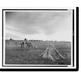 thumbnail image 2 of Historic Framed Print, [Man gathering shocks of wheat in southern Illinois], 17-7/8" x 21-7/8", 2 of 9