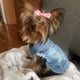 thumbnail image 2 of XS-2XL Denim Dog Clothes Cowboy Pet Dog Coat Puppy Clothing For Small Dogs Jeans Jacket Dog Vest Coat Puppy Outfits Cat Clothes ShopWise Round, 2 of 21