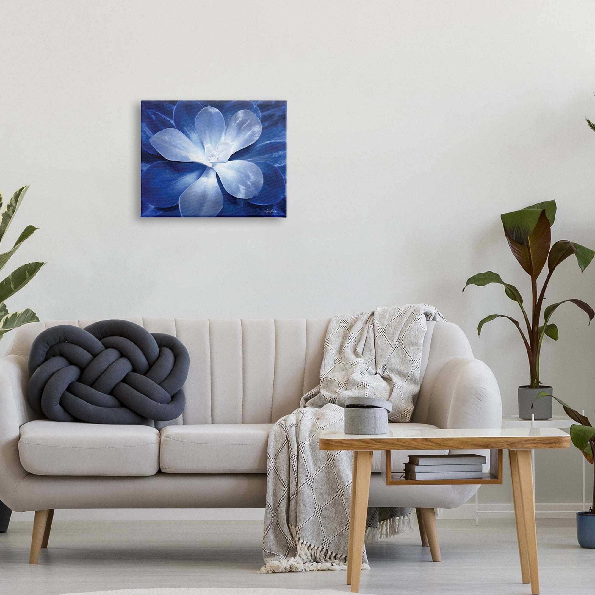 Stupell Industries Monochromatic Blue Succulent Plant Detailed Botanical Petals,30 x 24, Design by Lori Deiter