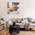 thumbnail image 3 of Stupell Industries Sleeping Orange Kitten Animals & Insects Painting Gallery Wrapped Canvas Art Print Wall Art, 36 x 36, 3 of 8