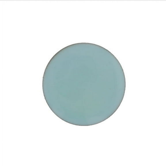 1410 Robin Egg Blue Thompson Opaque Enamel 2 Ounce