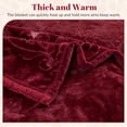 thumbnail image 5 of WOOW DEPOT Full Queen Heavy Fleece Bed Blanket 1 PCS, 7.72 lbs 78.7" x 90.5", Reversible Thick Embossed Velvet Soft Warm Mink Blanket for All Season, Burgundy Red, 5 of 8