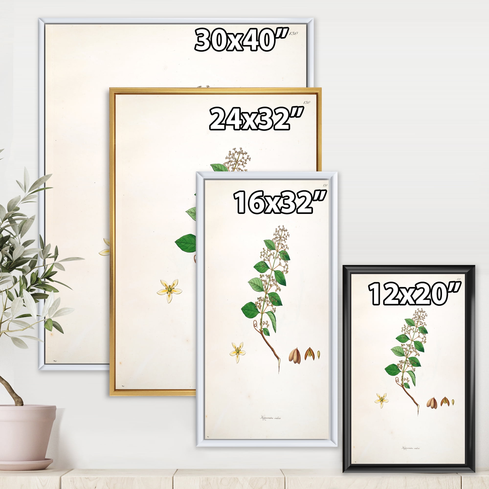 Designart 'Ancient Botanicals I' Farmhouse Framed Canvas Wall Art Print