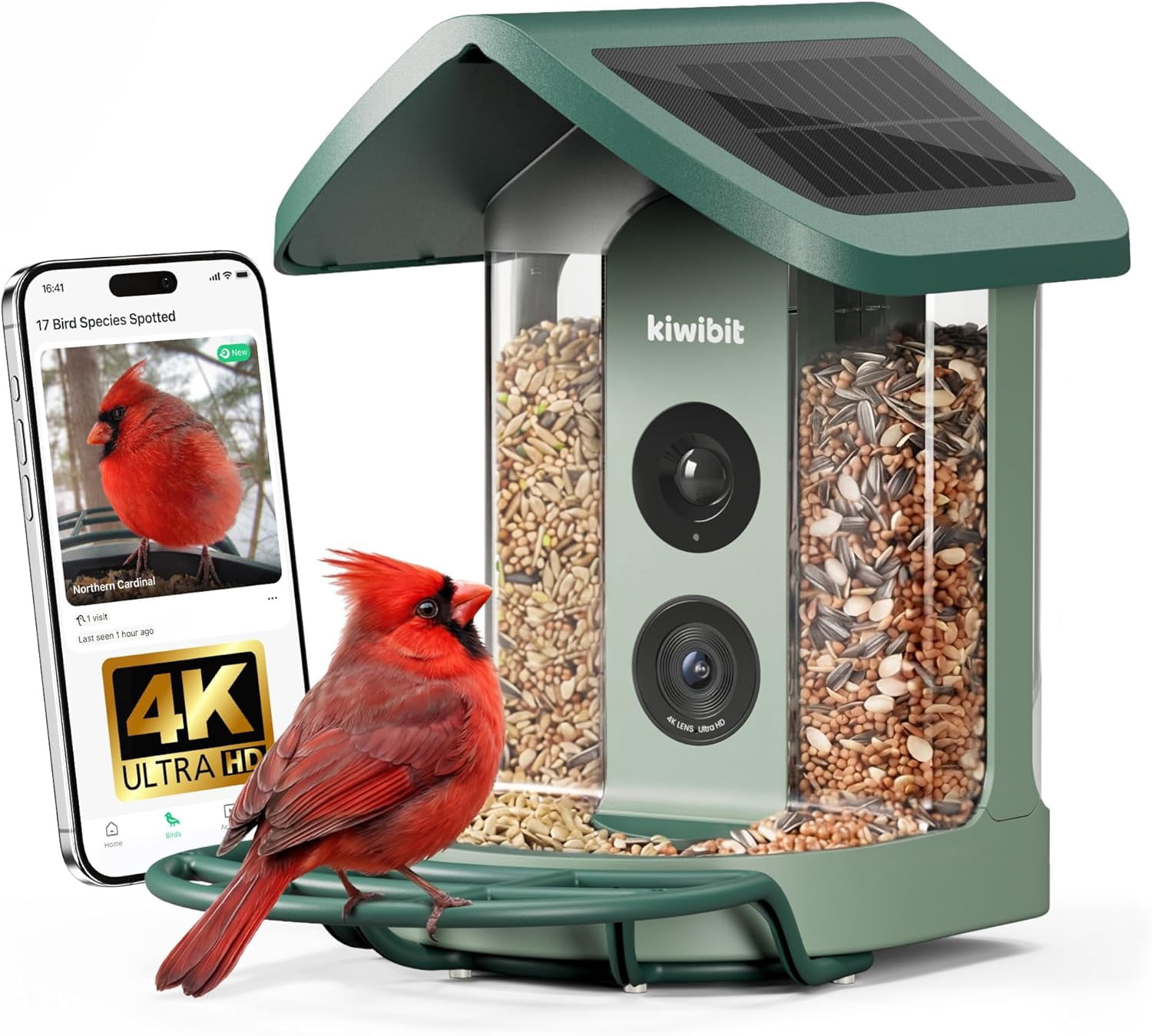 Bird Buddy Pro Solar Smart Bird Feeder, Camera, AI Bird ID, HD+