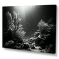 thumbnail image 2 of Designart "Monochromatic Underwater Tranquility" Coastal Coral Under Water Wall Art Living Room, 2 of 7