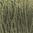 thumbnail image 2 of Red Heart® Super Easy™ #6 Super Bulky Acrylic Yarn, Moss 8.8oz/250g 238 Yards (3 Pack), 2 of 7