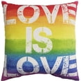 thumbnail image 1 of hometrends Pride "Love is Love"Decorative Pillow, 1 of 1