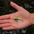 thumbnail image 3 of SteelShad Mini Series 2-Pack 1/4 oz. Yellow Shad, 3 of 5