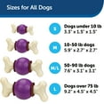 thumbnail image 6 of PetSafe Busy Buddy Bouncy Bone, Treat Holding Dog Toy, Large, Best For Dogs Over 75 Lb., 6 of 8