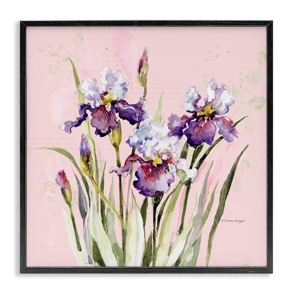 Stupell Industries Traditional Purple Irises on Pink Black Framed Giclee Art, 12 x 12, by Susan Winget
