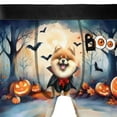 thumbnail image 4 of Happy Halloween Vampire Pomeranian BOO with Pumpkins Fun and Spooky All Over Print Boxer Briefs Underwear for Men Dad Pom Dog Lover Gifts - 00018, 4 of 6