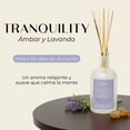 thumbnail image 3 of Seiri Difusor de Varitas Aromatizante de Ambiente + Fragancia Premium Certificada + Diseño Elegante + 125 ml y 8 Varitas (Lavender Amber Tranquility), 3 of 8