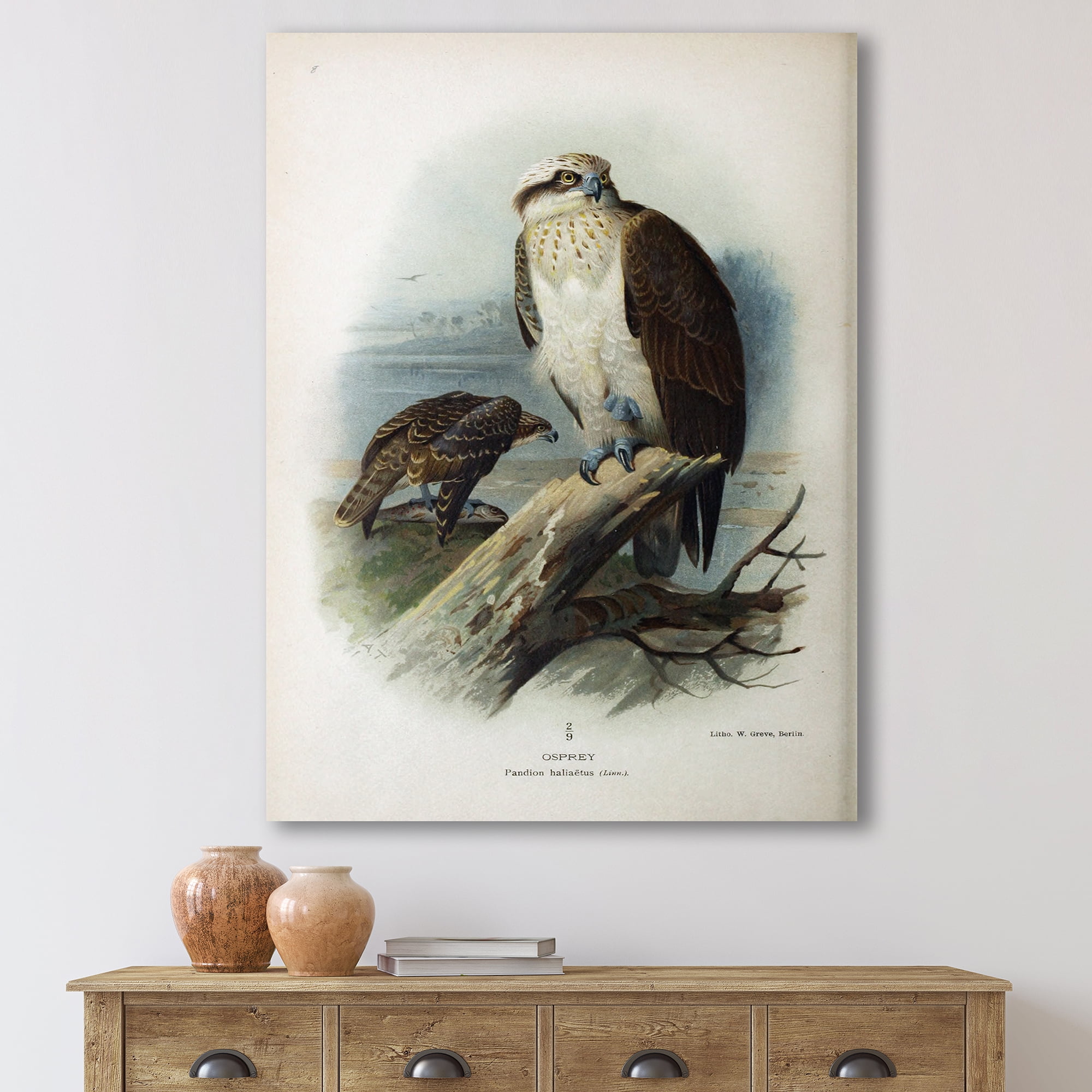Ancient Bird Life VI 12 in x 8 in Painting Canvas Art Print, by Designart