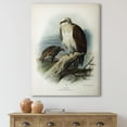 thumbnail image 2 of Designart ' Ancient Bird Life VI ' Traditional Canvas Wall Art Print, 2 of 4