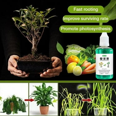Gracefulvara Plant Revival Liquid Growth fluid