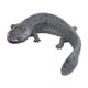 thumbnail image 3 of Figura de juguete de salamandra, estatua de vida silvestre, decoración de escritorio, escuela para niños de todas las edades. gris, 3 of 9