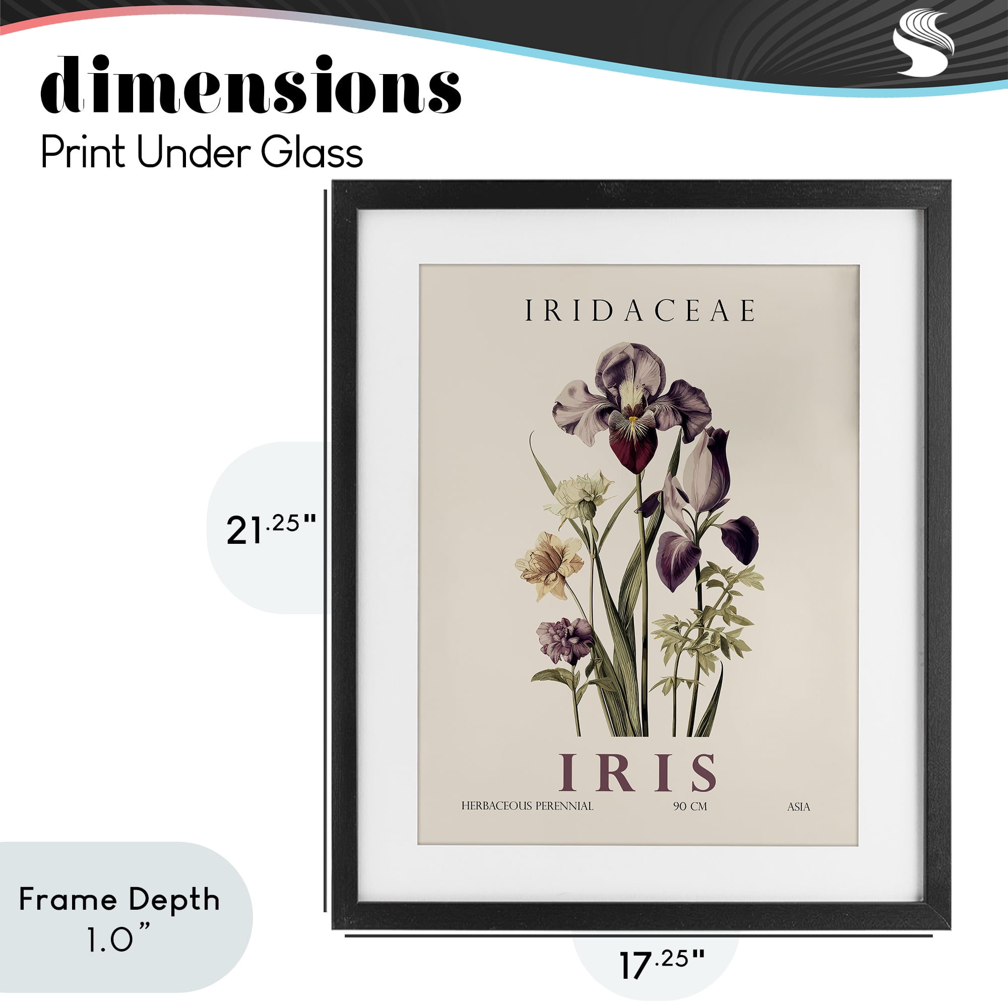 Stupell Industries Natural Iris Bundle Black Framed Print Under Glass, design by Christopher Giampietro
