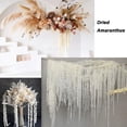 thumbnail image 3 of Duslogis 5Pcs Bleached Amaranthus Hanging Flowers - 16''-28'' Dried Preserved White Hanging Wisteria Flowers for Wedding Bouquet, Wall Decoration, Home Decor (White, 5Pcs), 3 of 7