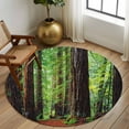 thumbnail image 2 of Round Rug 6Ft Washable Non-Slip, Forest Circle Area Rugs for Living Room Bedroom, Modern Art Summer Botanical Trees Indoor Floor Mats Carpet Runner for Home Decor Aesthetic, 2 of 8