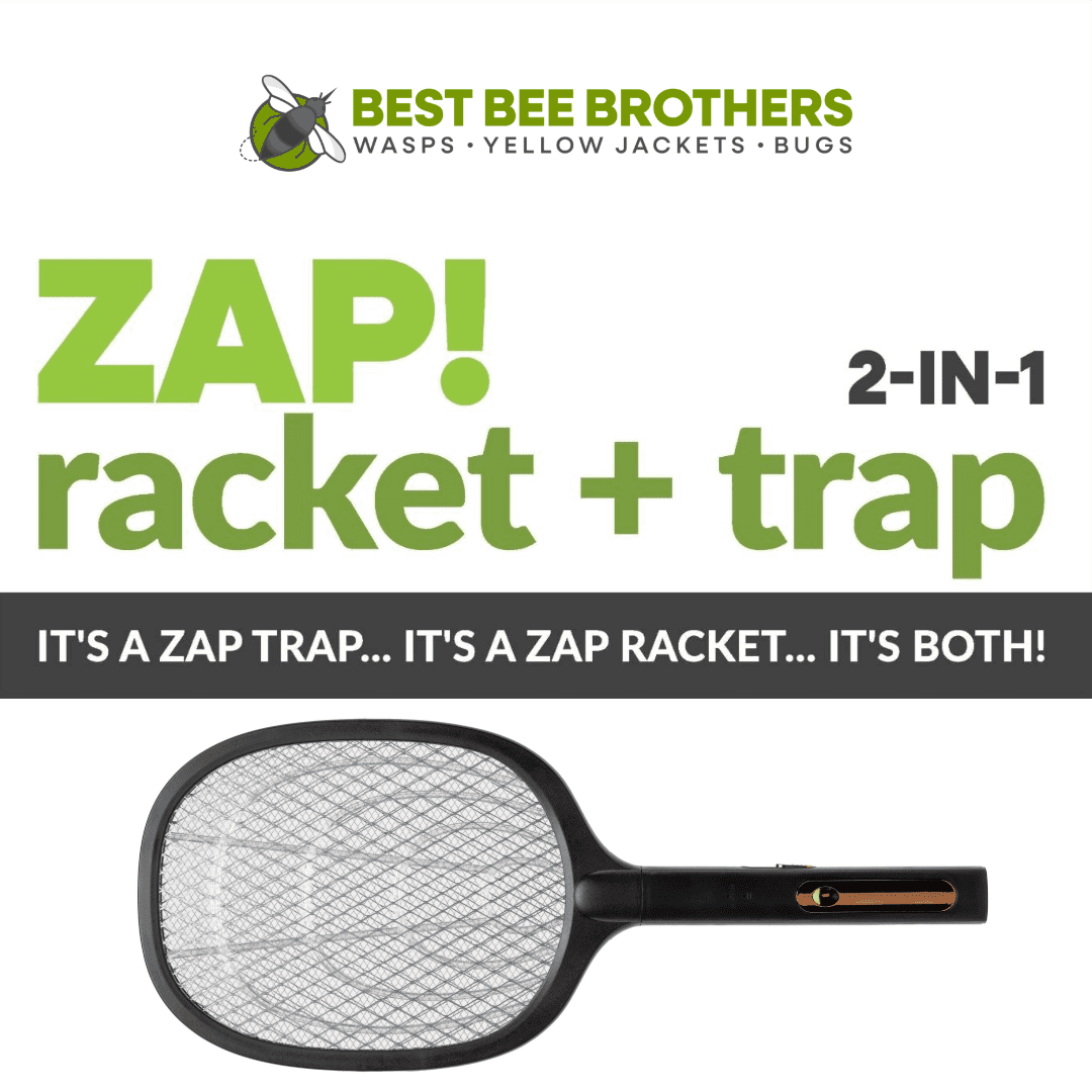 ZAP! 2-in-1 Insect Zap Racket and Trap, Best Bee Brothers, for Mosquitoes and Bees