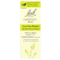 Bach Original Flower Remedies, Chestnut Bud, 0.35 fl oz (10 ml)