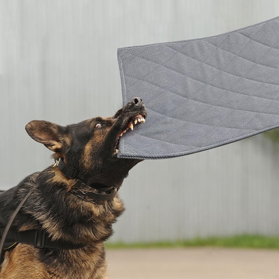 Indestructible Dog Bed, Chew Proof Crate Pad for Aggressive Chewers - Machine Washable Quilted Mat for Small Dogs - Durable Grey Kennel Pad (22x35 in)