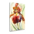 thumbnail image 2 of Tangletown Fine Art Colors Of Iris II By Maria Zielinska,  Gallery Wrap Canvas, 2 of 2