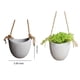 thumbnail image 4 of Bearachild Maceta a prueba de agua para plantas suculentas El jarrón impermeabilizante interno feliz e hidratado se puede colocar color cemento Jardín y Patio color cemento 10 cm * 9 cm * 10 cm, 4 of 6