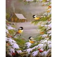 thumbnail image 3 of Cuadros Decorativos Kit de pintura al óleo de pájaro de Navidad DIY por números dibujo sobre lienzo imagen decoración del hogar JShteea Nuevos Originales, 3 of 9