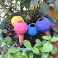 thumbnail image 5 of Juego de 4, Cono de riego de arcilla, Bolas para botellas, Terracota, Amarillo, azul, rosa, violeta TUNC Sencillez, 5 of 5