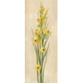 thumbnail image 2 of Vassileva, Silvia 12x24 Black Ornate Wood Framed with Double Matting Museum Art Print Titled - Farm Flower III, 2 of 4