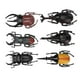 thumbnail image 5 of Juguete de insecto escarabajo, 6 piezas de simulación de insecto escarabajo, accesorios de Halloween, juguete de insecto, el mejor en su clase, 5 of 14