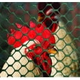 thumbnail image 3 of POULTRY FENCE 3X25 GRN (Pack of 1), 3 of 5