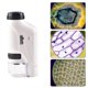 thumbnail image 2 of Handheld Microscope 60-120x Pocket Microscope Led Light Portable Mini Microscope, 2 of 3