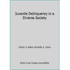 Juvenile Delinquency in a Diverse Society [Paperback - Used]