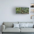 thumbnail image 2 of Trademark Fine Art Pierre Leclerc Angel Oak Charleston Canvas Wall Art - 24x47, 2 of 5