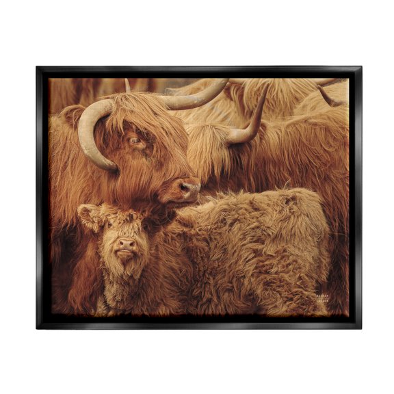 Stupell Industries Cattle & Calf Photography Animals & Insects Photography Black Floater Framed Art Print Wall Art, 21 x 17