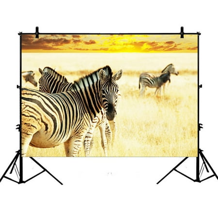 PHFZK 7x5ft Animal Backdrops, African Wildlife Zebras in Sunrise Landscape Photography Backdrops Polyester Photo Background Studio (Best Camera For Landscape And Wildlife Photography)