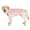Pink Fruit, variant on HQREA Pet Clothes Dog Summer T-Shirt Printed Breathable Dog Vest Clothes Outfit for Large Dogs