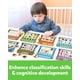 thumbnail image 4 of Juguete de clasificación magnética Coogam Montessori para nevera, imanes para niños pequeños, 4 of 8