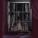 thumbnail image 3 of Mom's Best Póster de pared y ventana de Zombieshadow Bloodyhand, 3 of 5