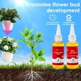 thumbnail image 7 of Limetown Phytovitamin Solution, Limetown Plant Fertilizer, Limetow Plant Vitality Elixir, Limetown Solution Plant Vitality Elixir, Suitable for All Plant Types, 7 of 7